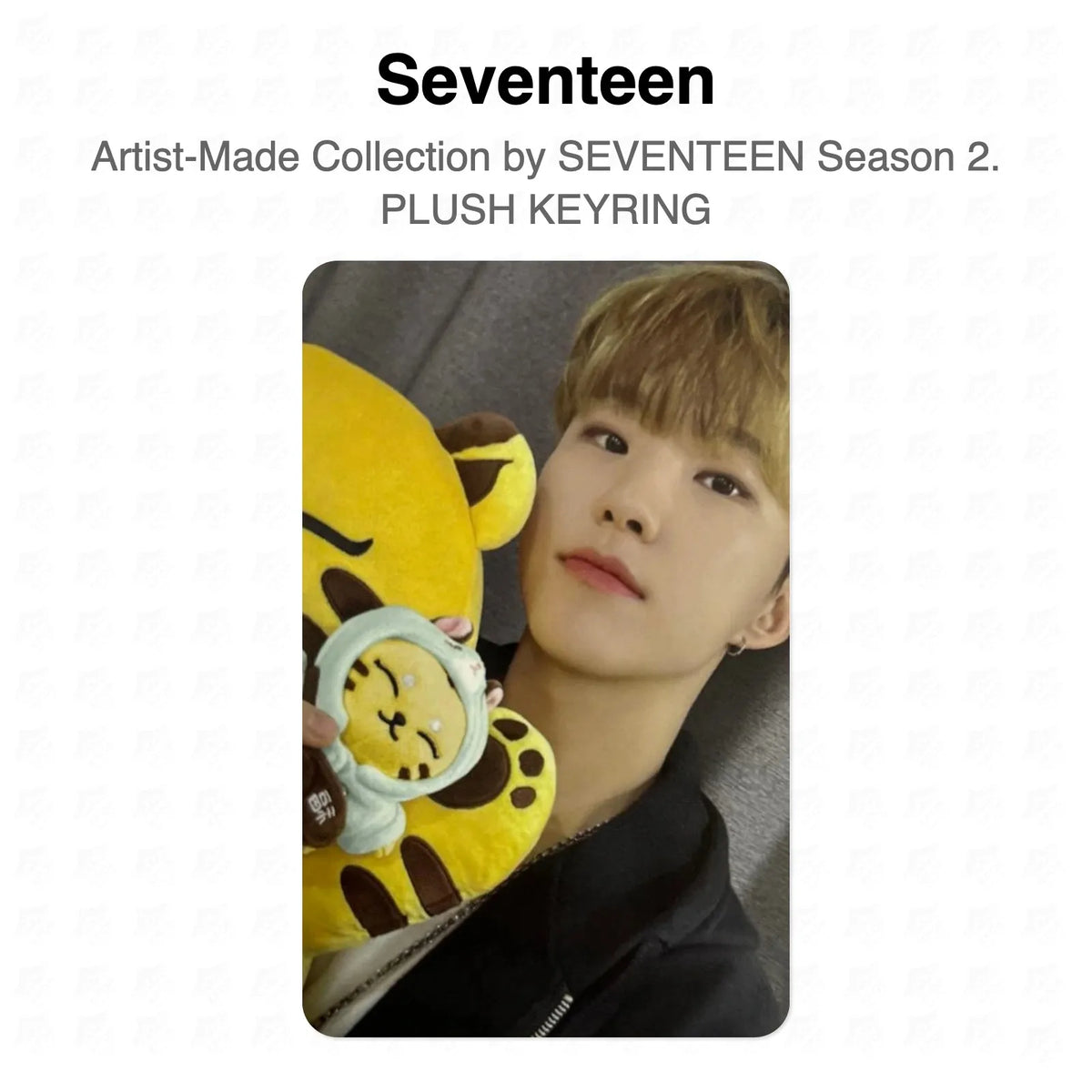 Seventeen Artist-Made Collection by SEVENTEEN Season 2. PLUSH KEYRING Official Photocard