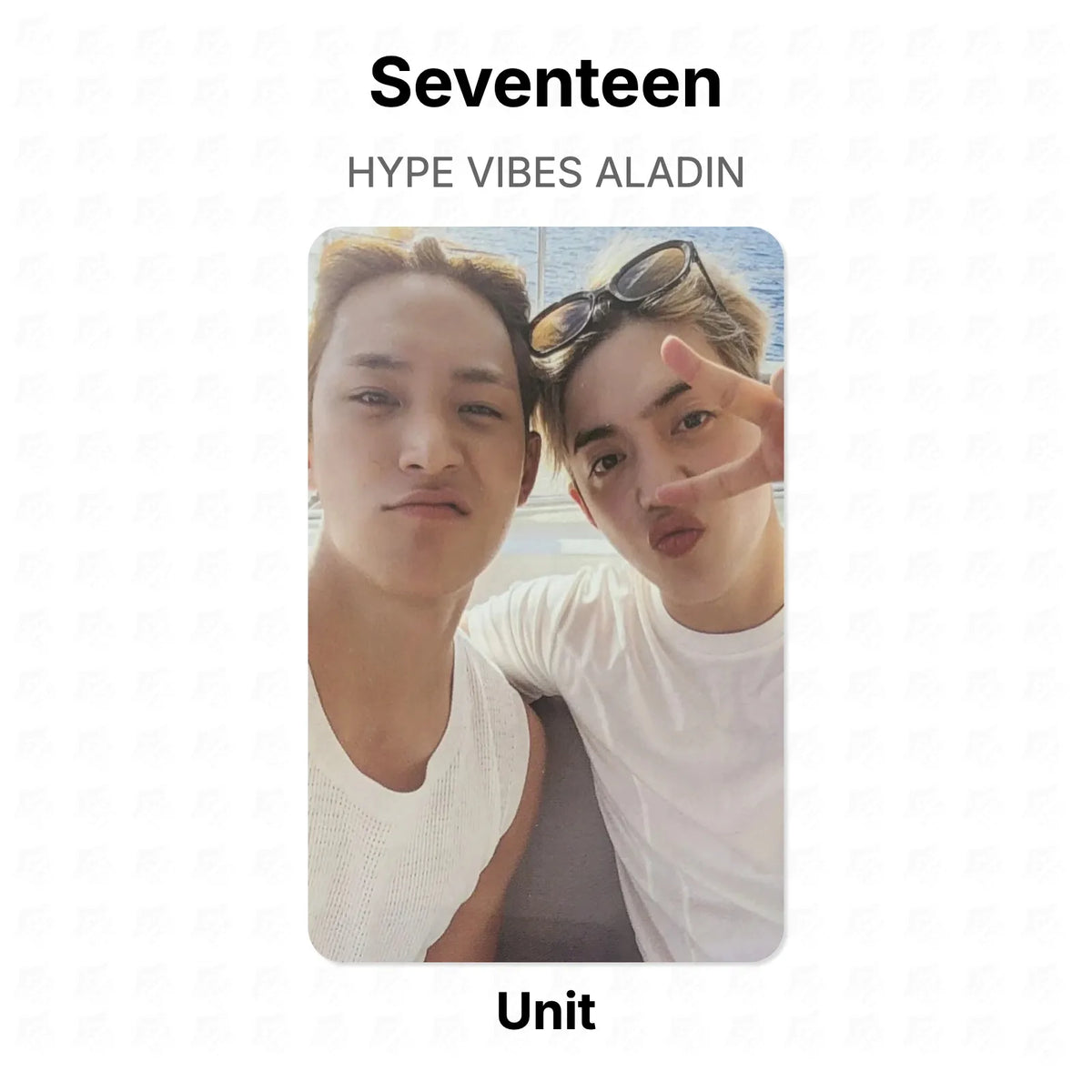 Seventeen HYPE VIBES ALADIN Official Photocard