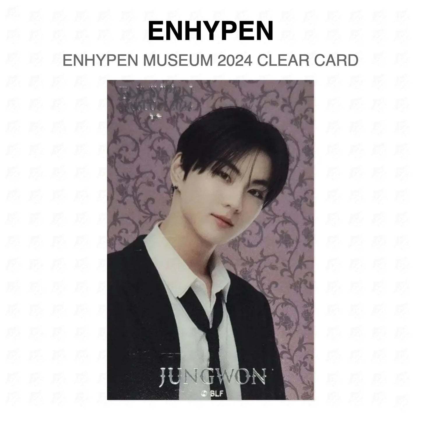 ENHYPEN MUSEUM 2024 CLEAR CARD Official Photocard