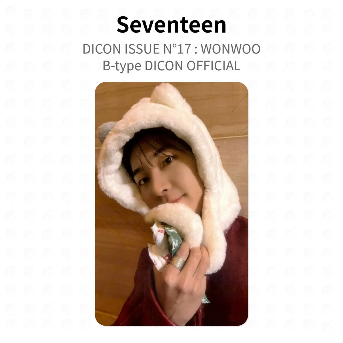 Seventeen DICON ISSUE N°17 : WONWOO B-type DICON OFFICIAL Official Photocard