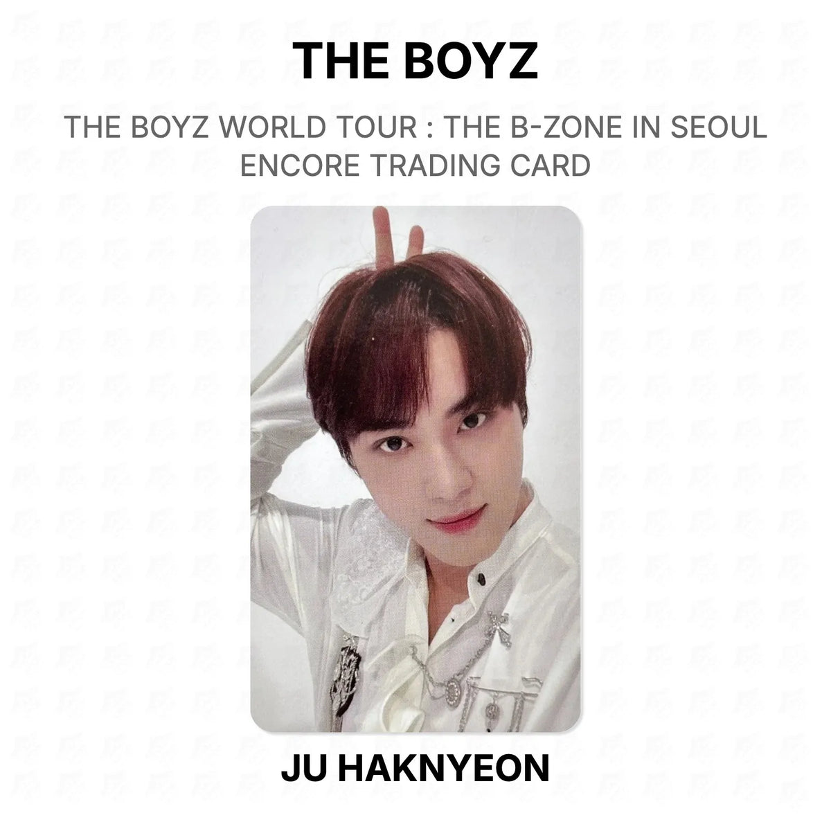 THE BOYZ WORLD TOUR : THE B-ZONE IN SEOUL ENCORE TRADING CARD Official Photocard