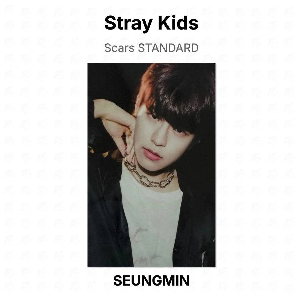 Stray Kids Scars STANDARD Official Photocard