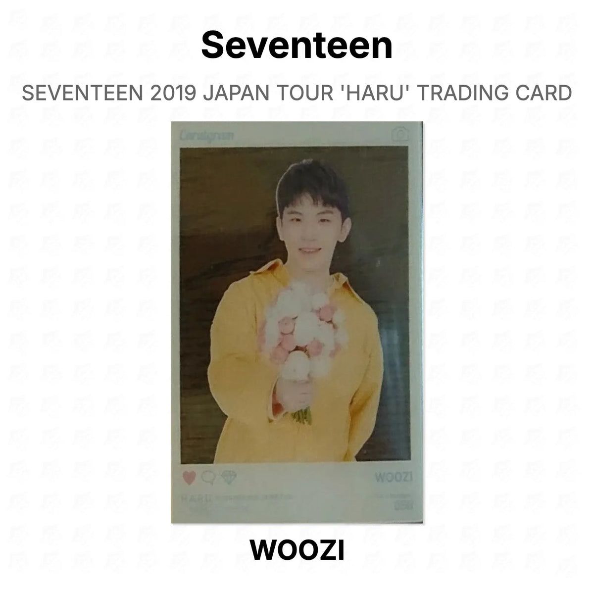 Seventeen 2019 JAPAN TOUR 'HARU' TRADING CARD Official Photocard