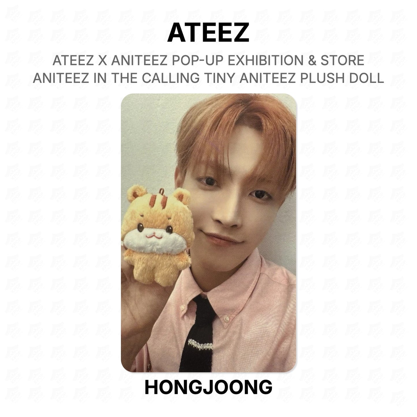 ATEEZ X ANITEEZ POP-UP EXHIBITION & STORE ANITEEZ IN THE CALLING TINY ANITEEZ PLUSH DOLL Official Photocard