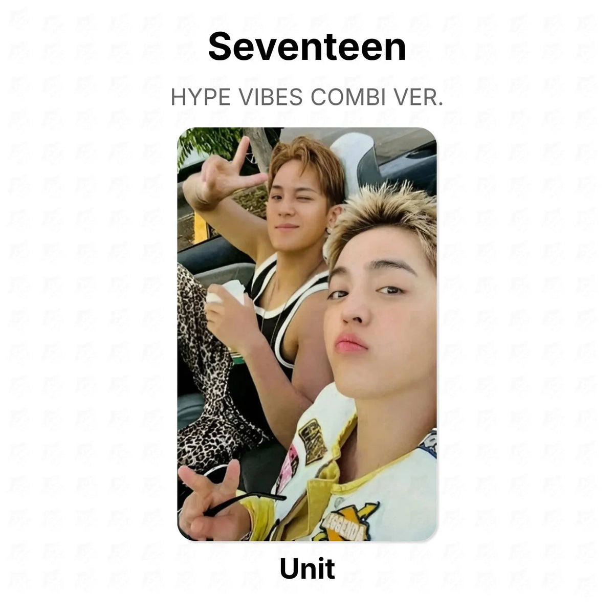 Seventeen HYPE VIBES COMBI VER. Official Photocard
