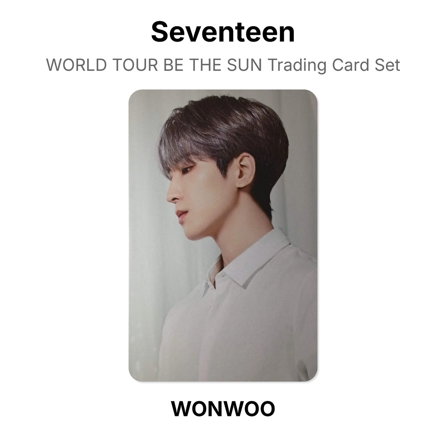 Seventeen WORLD TOUR BE THE SUN Trading Card Set photocard oficial