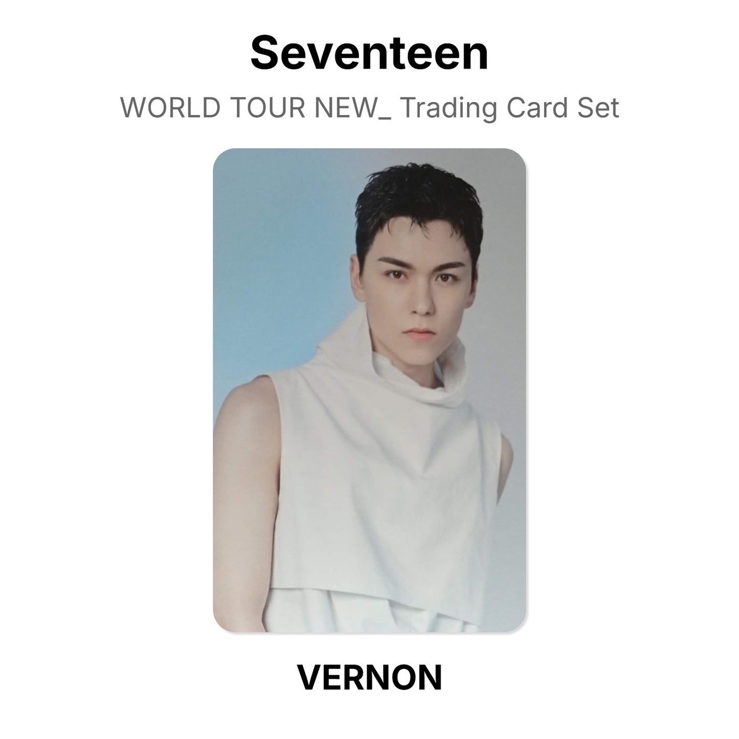 Seventeen WORLD TOUR NEW_ Trading Card Set photocard oficial