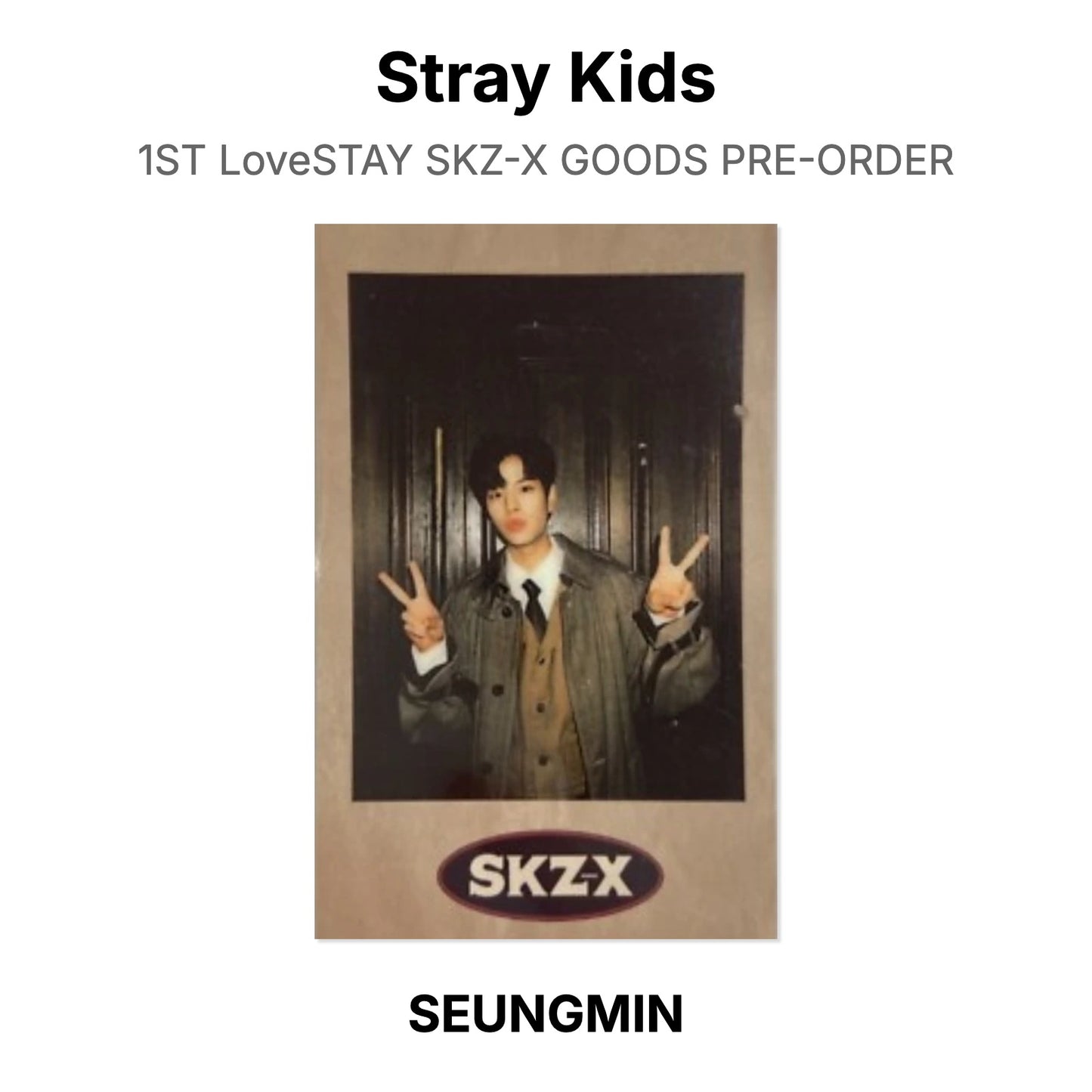 Stray Kids 1ST LoveSTAY SKZ-X GOODS PRE-ORDER photocard ufficiale