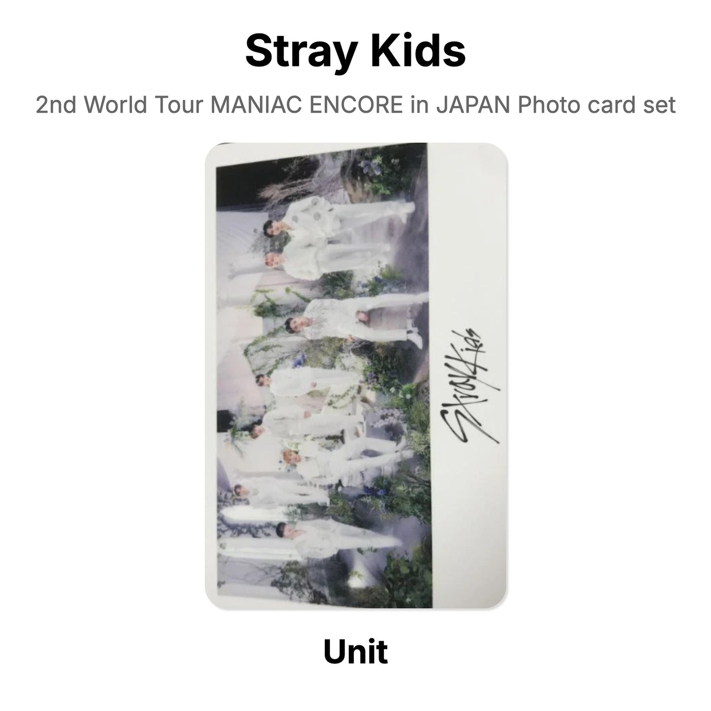 Stray Kids 2nd World Tour MANIAC ENCORE in JAPAN Photo card set 官方小卡