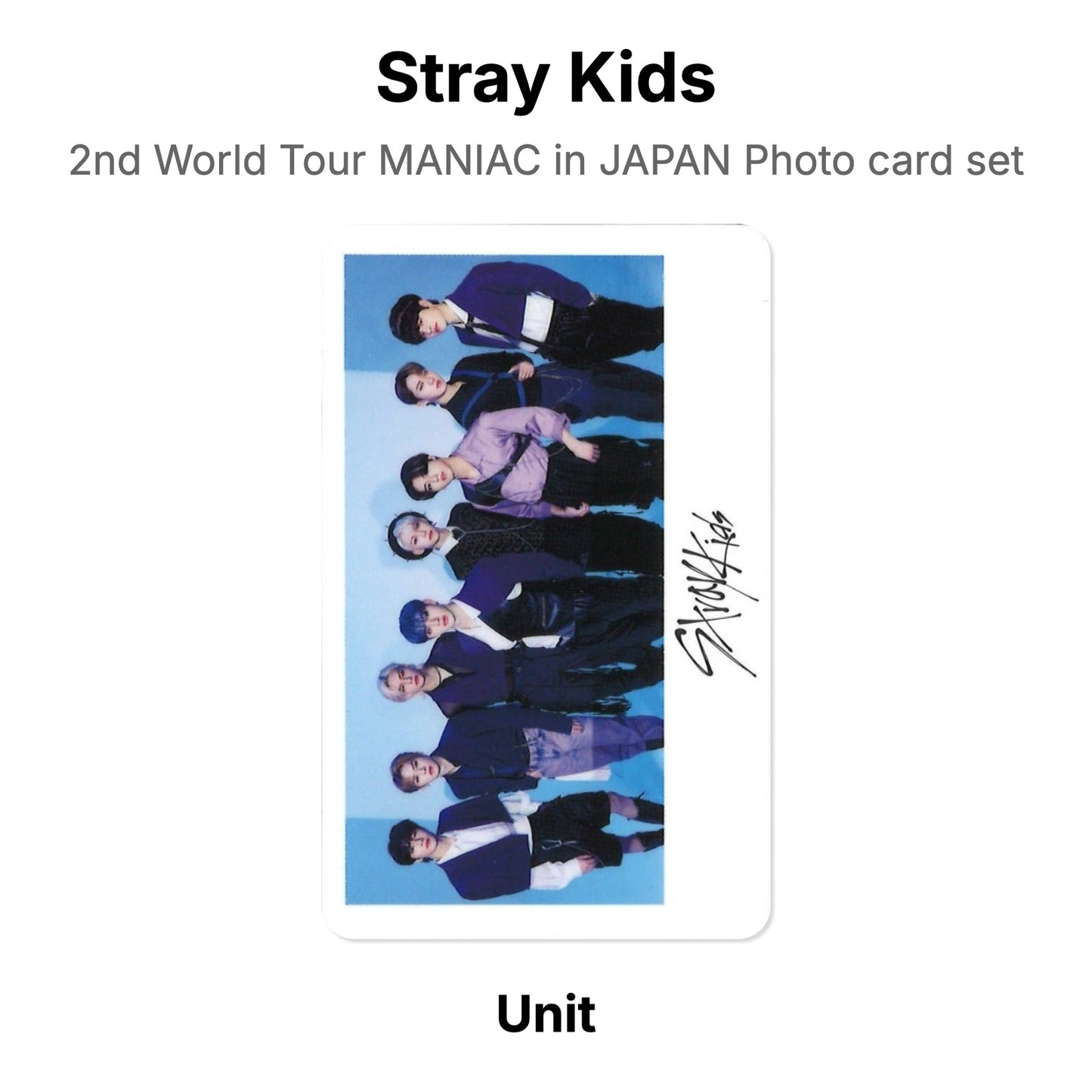 Stray Kids 2nd World Tour MANIAC in JAPAN Photo card set 官方小卡