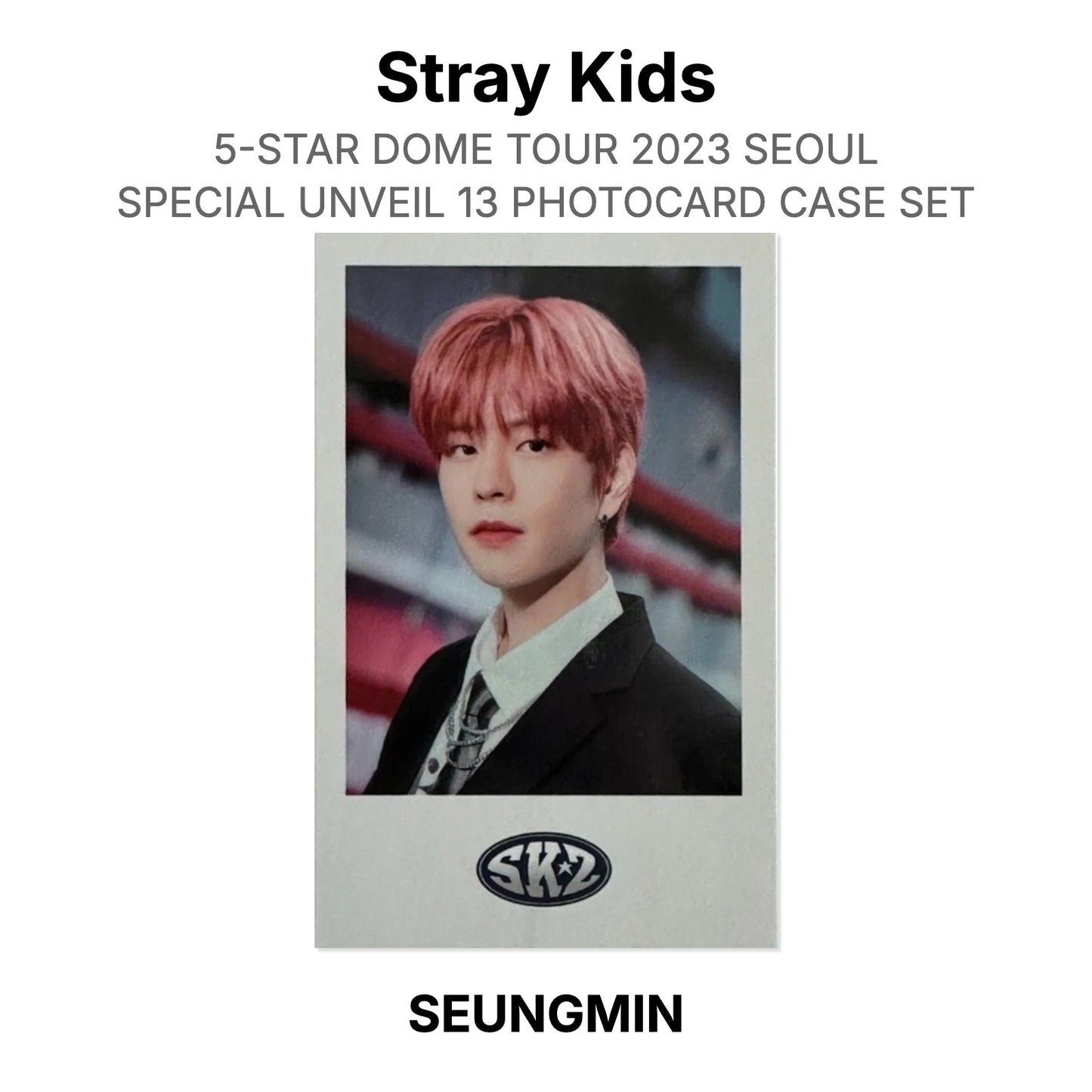 Stray Kids 5-STAR DOME TOUR 2023 SEOUL SPECIAL UNVEIL 13 PHOTOCARD CASE SET 官方小卡
