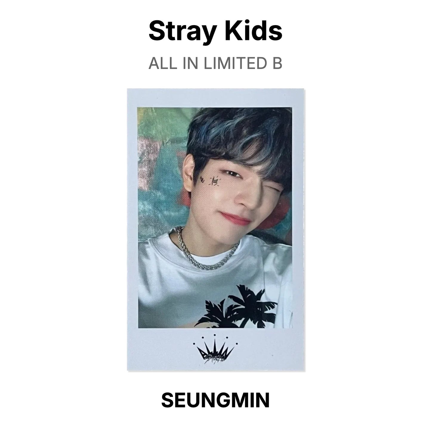 Stray Kids ALL IN LIMITED B Official Photocard