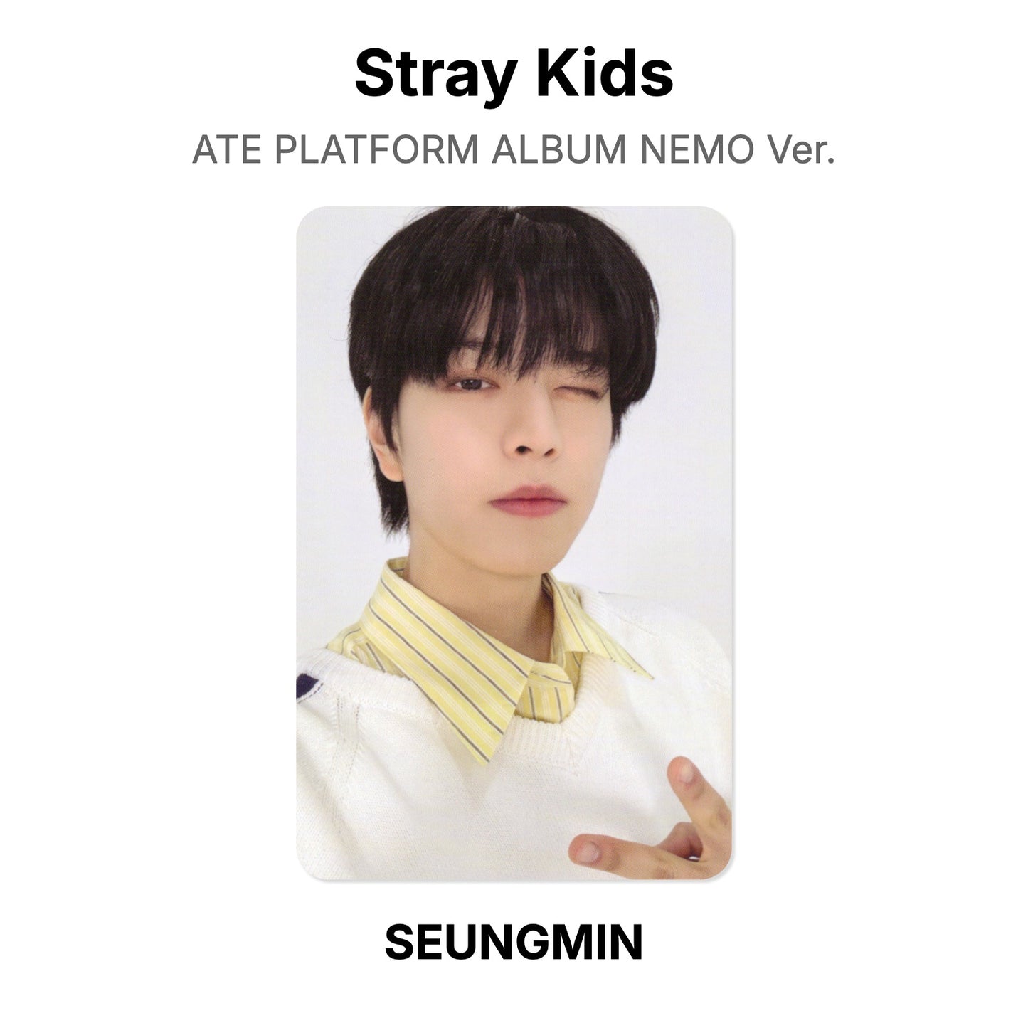 Stray Kids ATE PLATFORM ALBUM NEMO Ver. photocard oficial