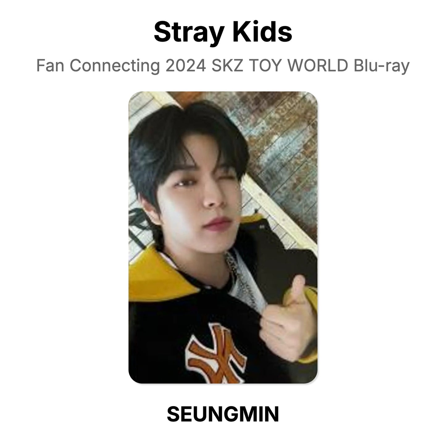 Stray Kids Fan Connecting 2024 SKZ TOY WORLD Blu-ray photocard oficial