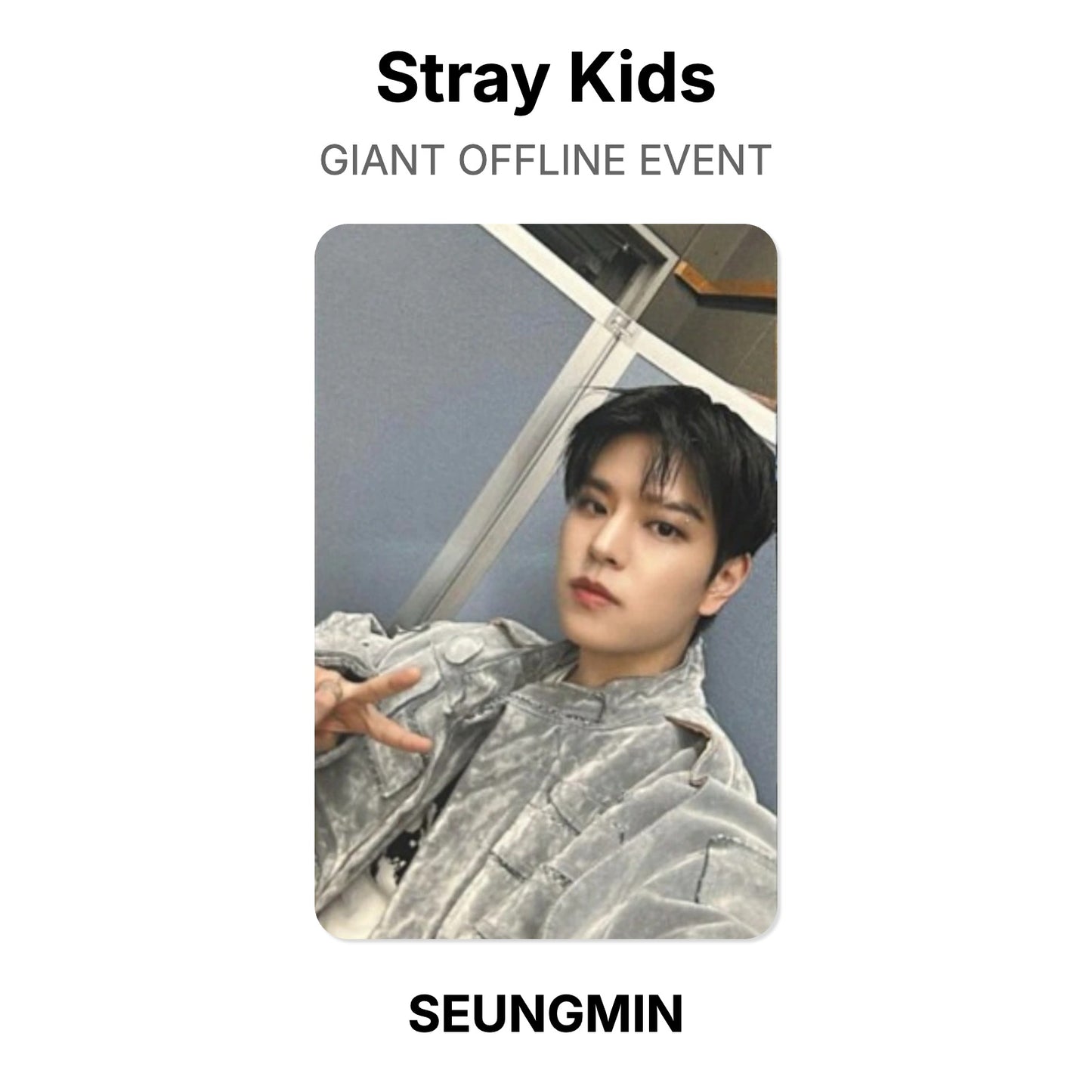 Stray Kids GIANT OFFLINE EVENT Official Photocard