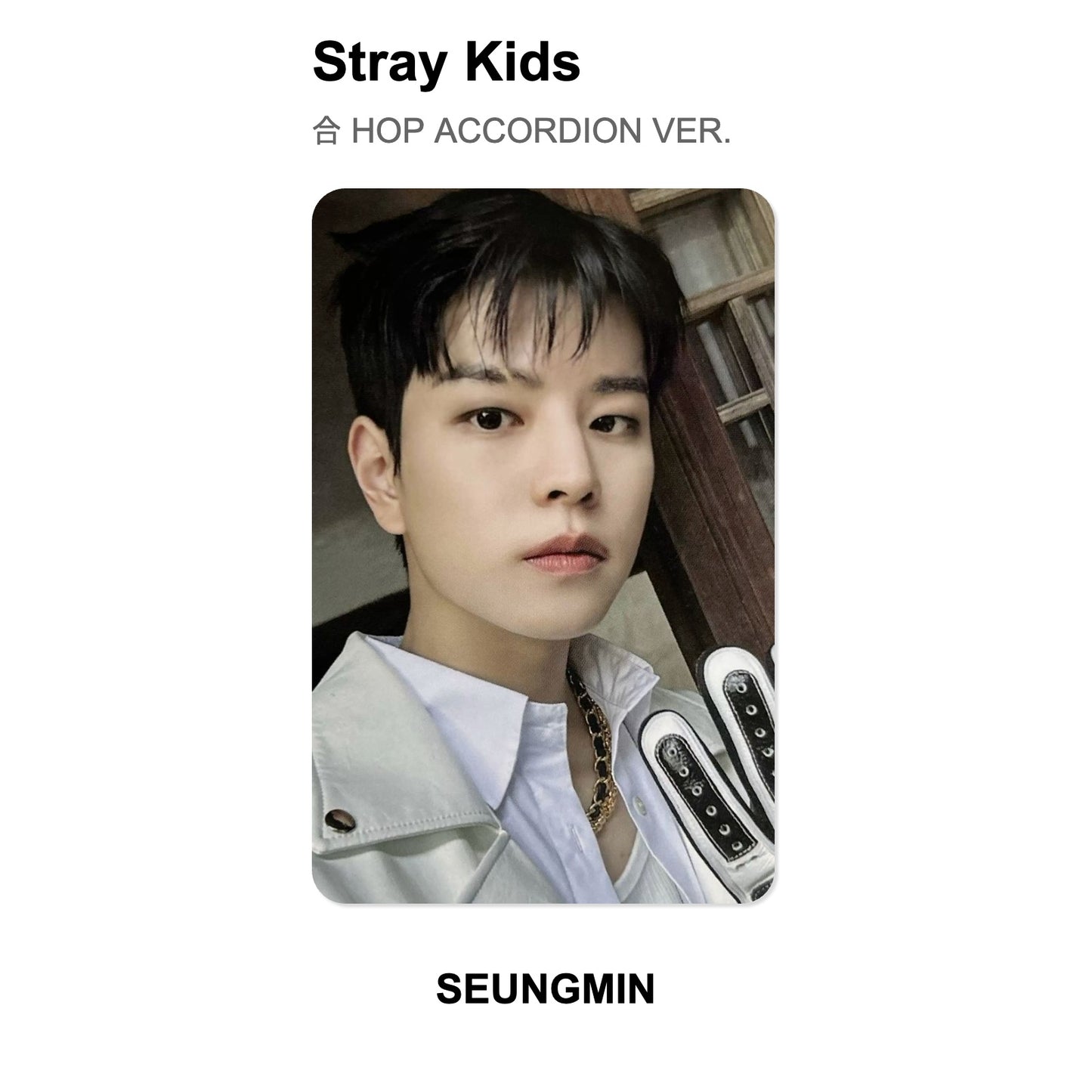 Stray Kids 合 HOP ACCORDION VER. Official Photocard
