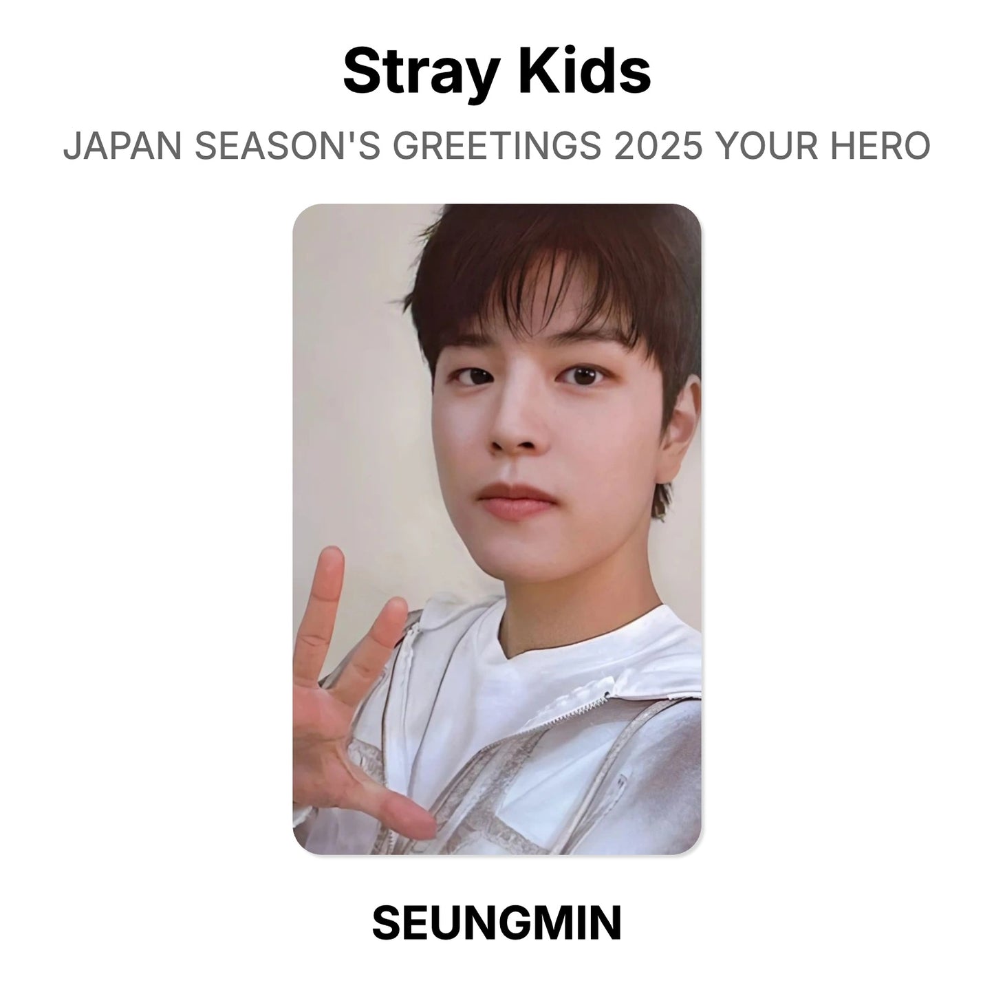 Stray Kids JAPAN SEASON'S GREETINGS 2025 YOUR HERO photocard oficial