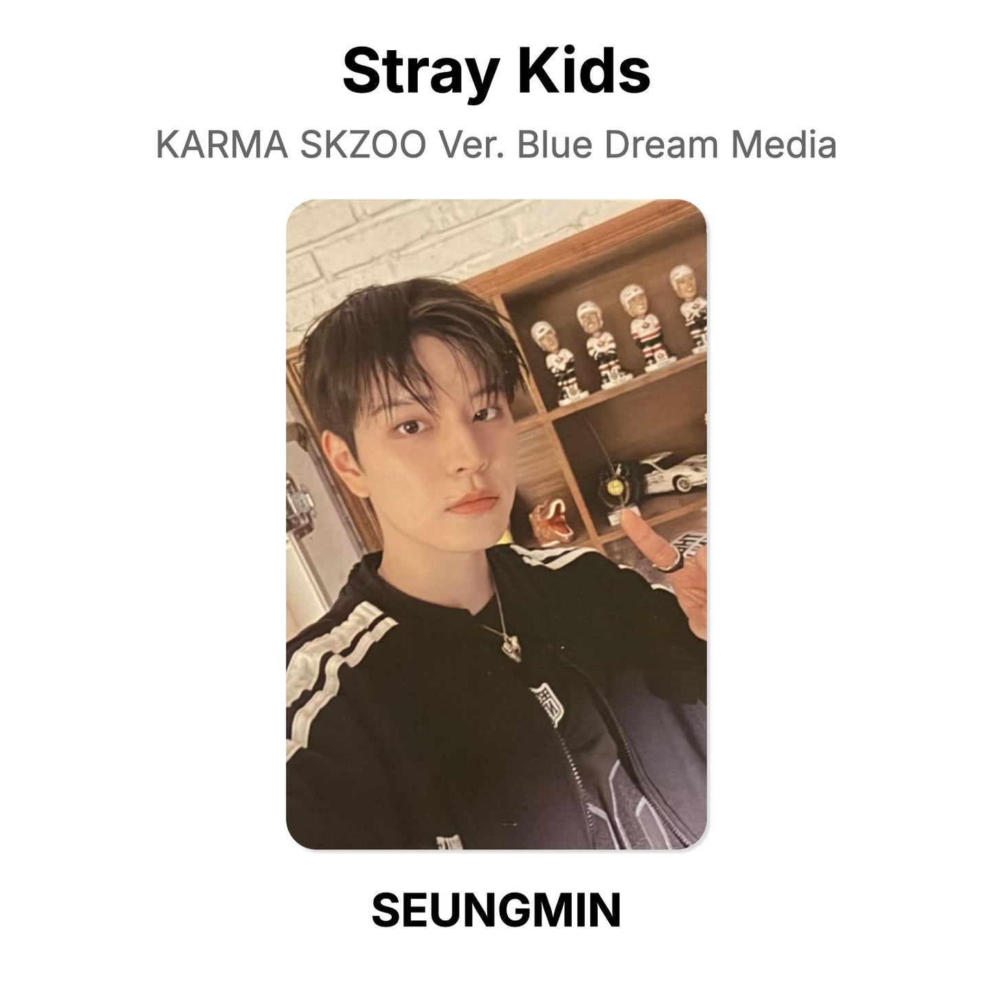 Stray Kids KARMA SKZOO Ver. Blue Dream Media Official Photocard