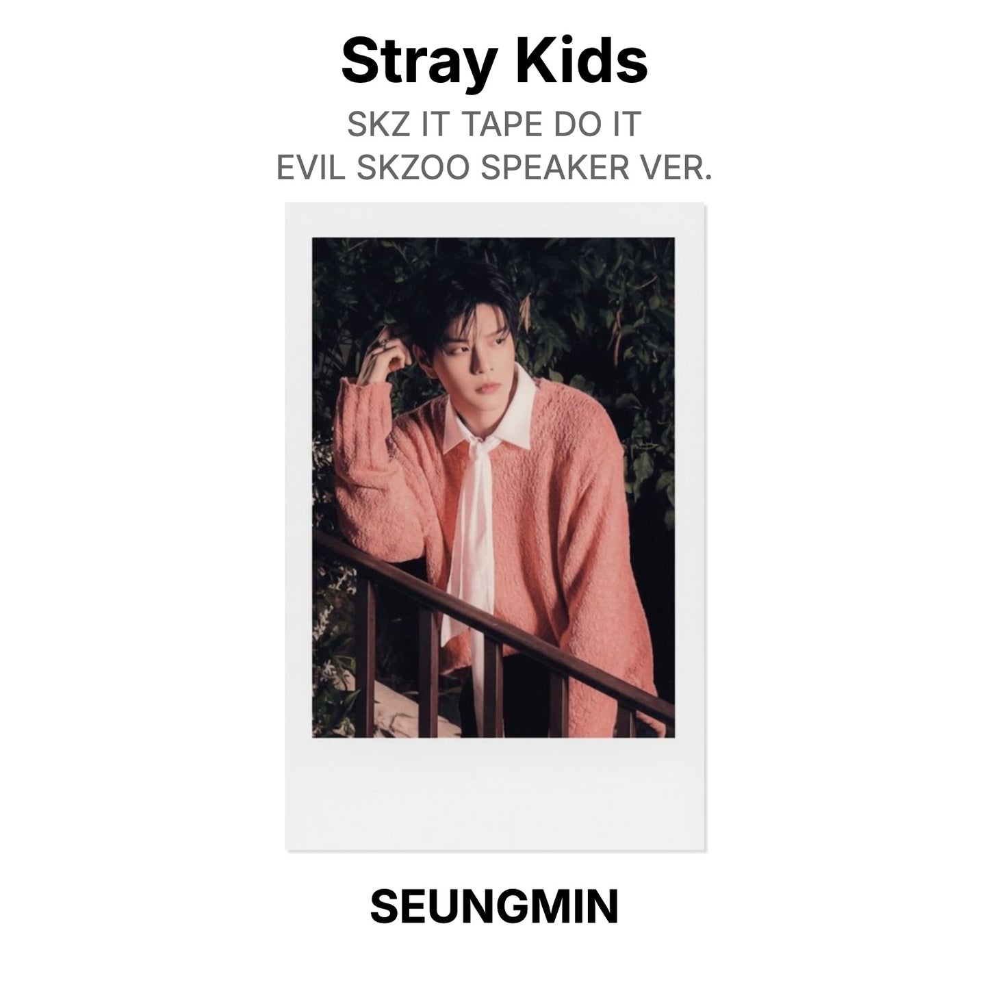Stray Kids SKZ IT TAPE DO IT EVIL SKZOO SPEAKER VER. Official Photocard