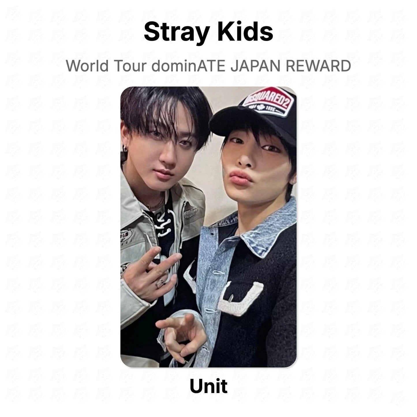 Stray Kids World Tour dominATE JAPAN REWARD Official Photocard