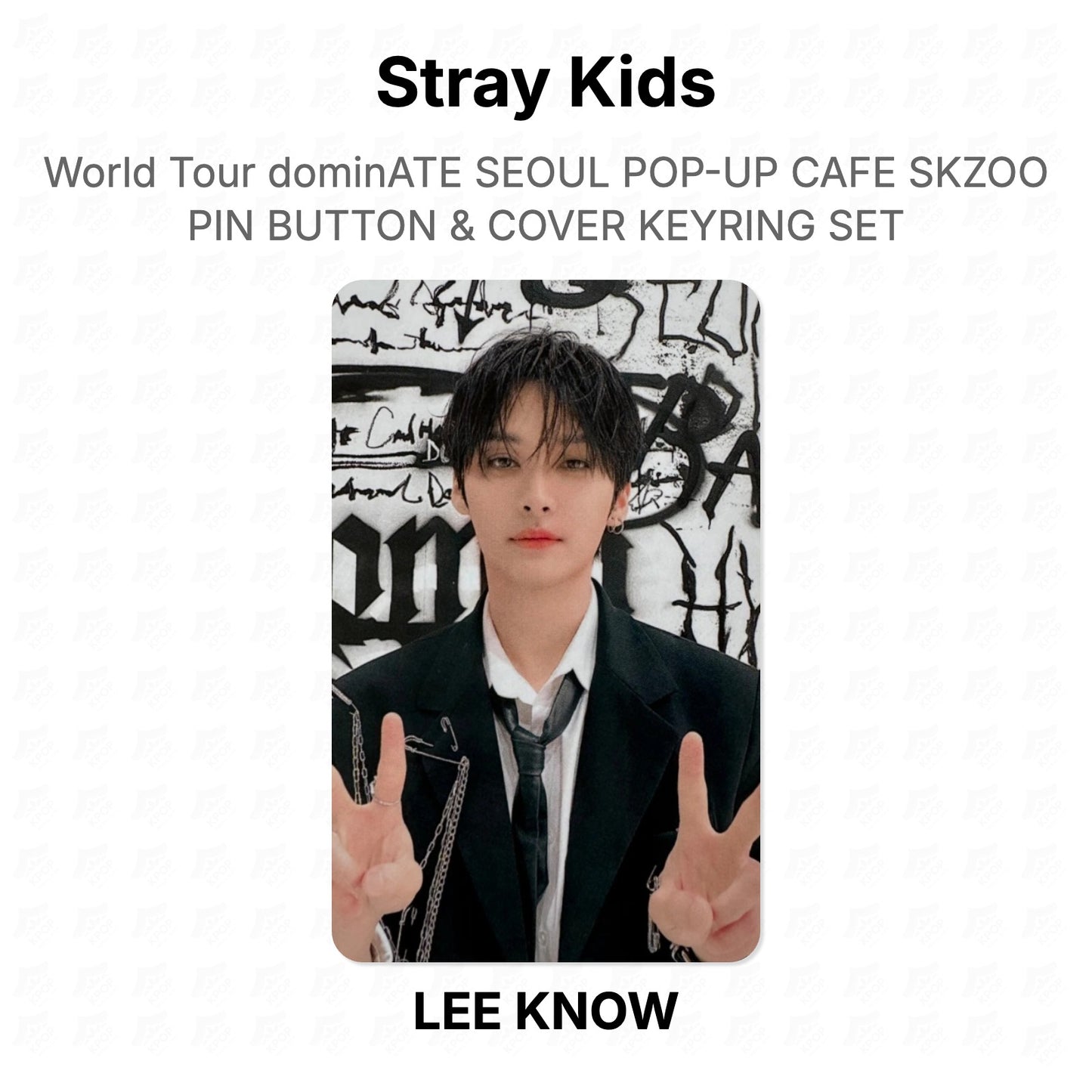 Stray Kids World Tour dominATE SEOUL POP-UP CAFE SKZOO PIN BUTTON & COVER KEYRING SET Official Photocard