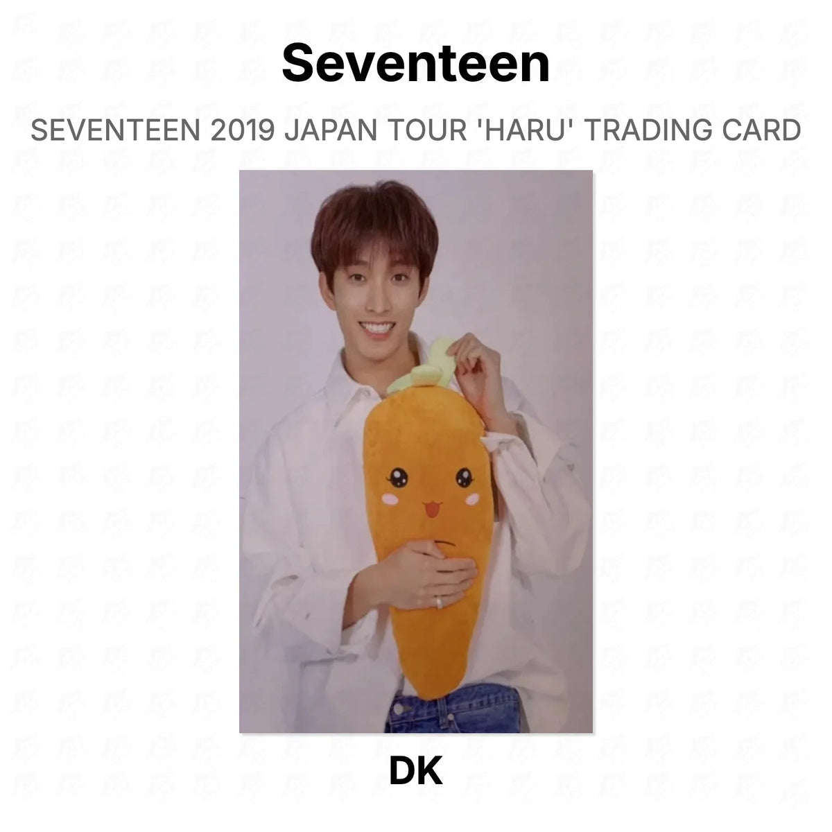 Seventeen 2019 JAPAN TOUR 'HARU' TRADING CARD Official Photocard