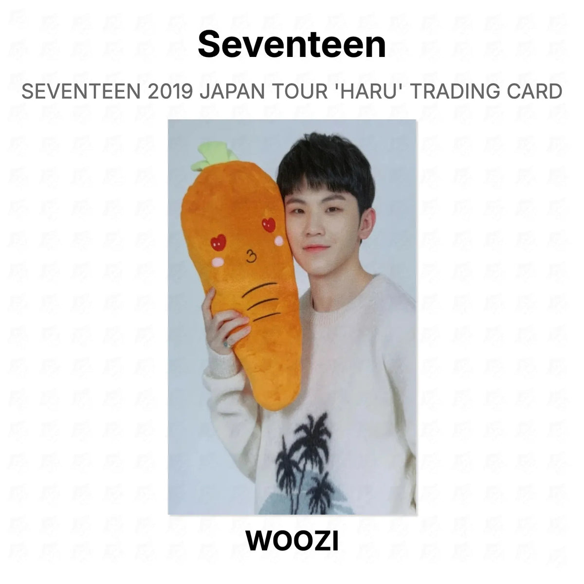 Seventeen 2019 JAPAN TOUR 'HARU' TRADING CARD Official Photocard