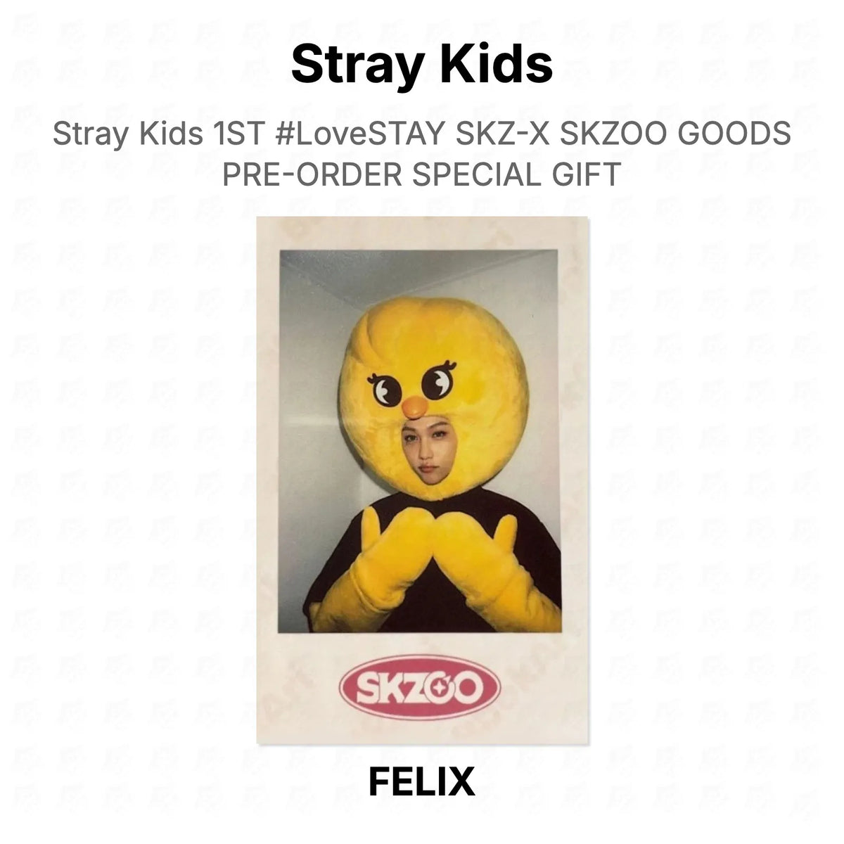 Stray Kids 1ST #LoveSTAY SKZ-X SKZOO GOODS PRE-ORDER SPECIAL GIFT Official Photocard