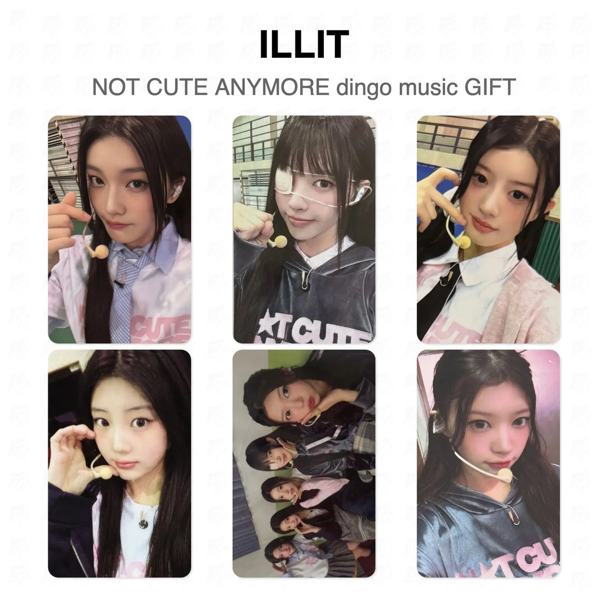 ILLIT NOT CUTE ANYMORE dingo music GIFT Official Photocard