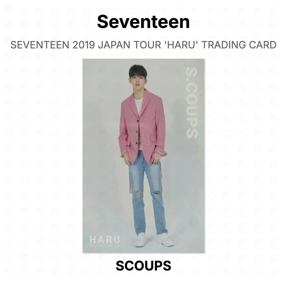 Seventeen 2019 JAPAN TOUR 'HARU' TRADING CARD Official Photocard