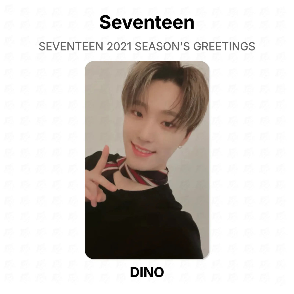 Seventeen 2021 SEASON'S GREETINGS Official Photocard