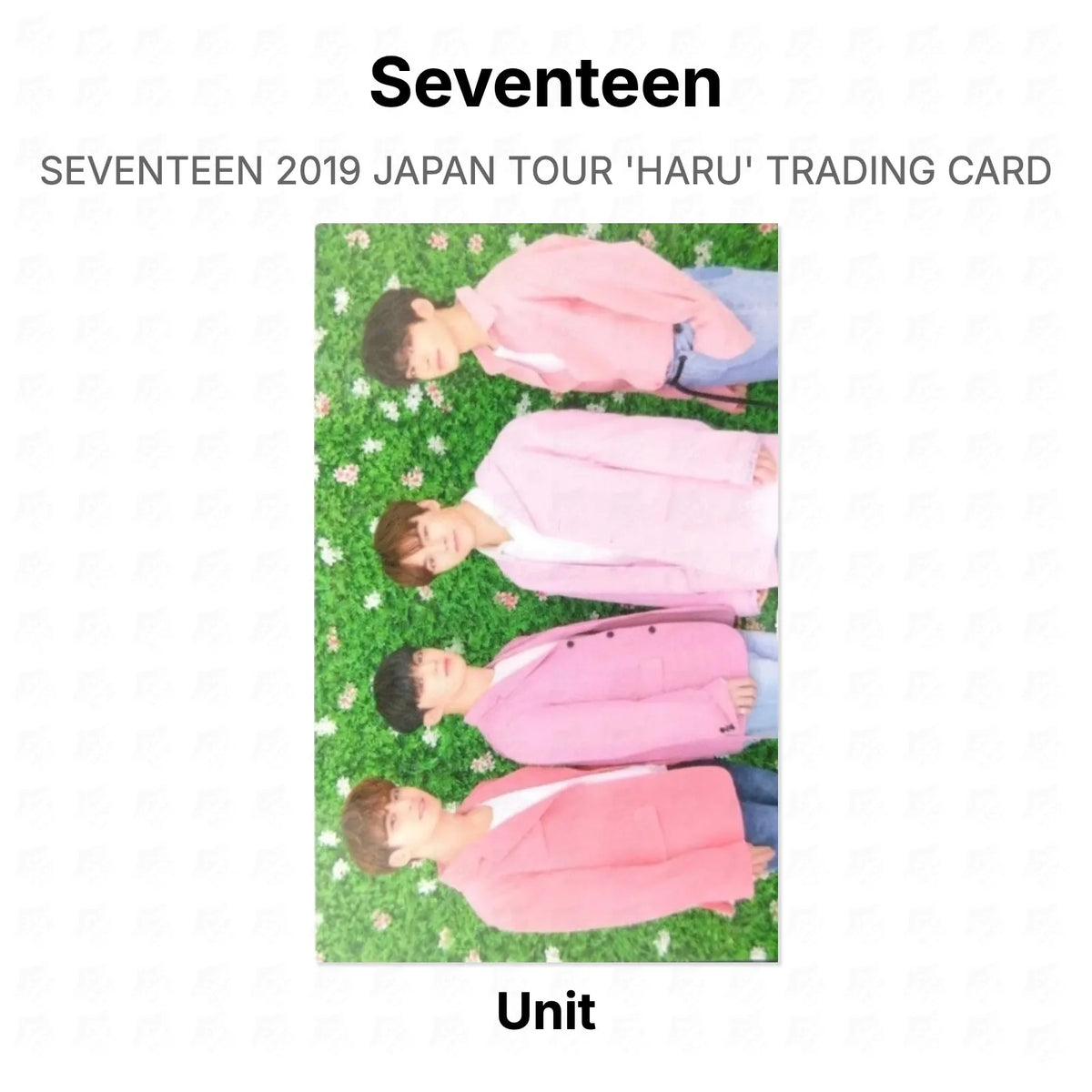 Seventeen 2019 JAPAN TOUR 'HARU' TRADING CARD Official Photocard