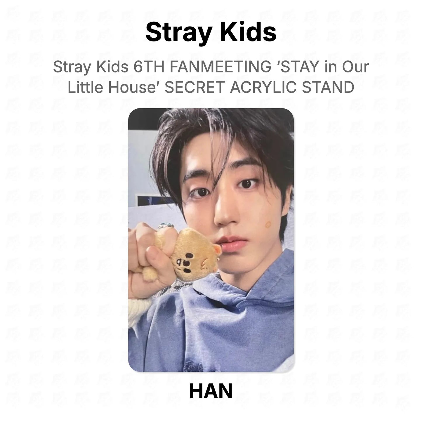 Stray Kids 6TH FANMEETING ‘STAY in Our Little House’ SECRET ACRYLIC STAND Official Photocard