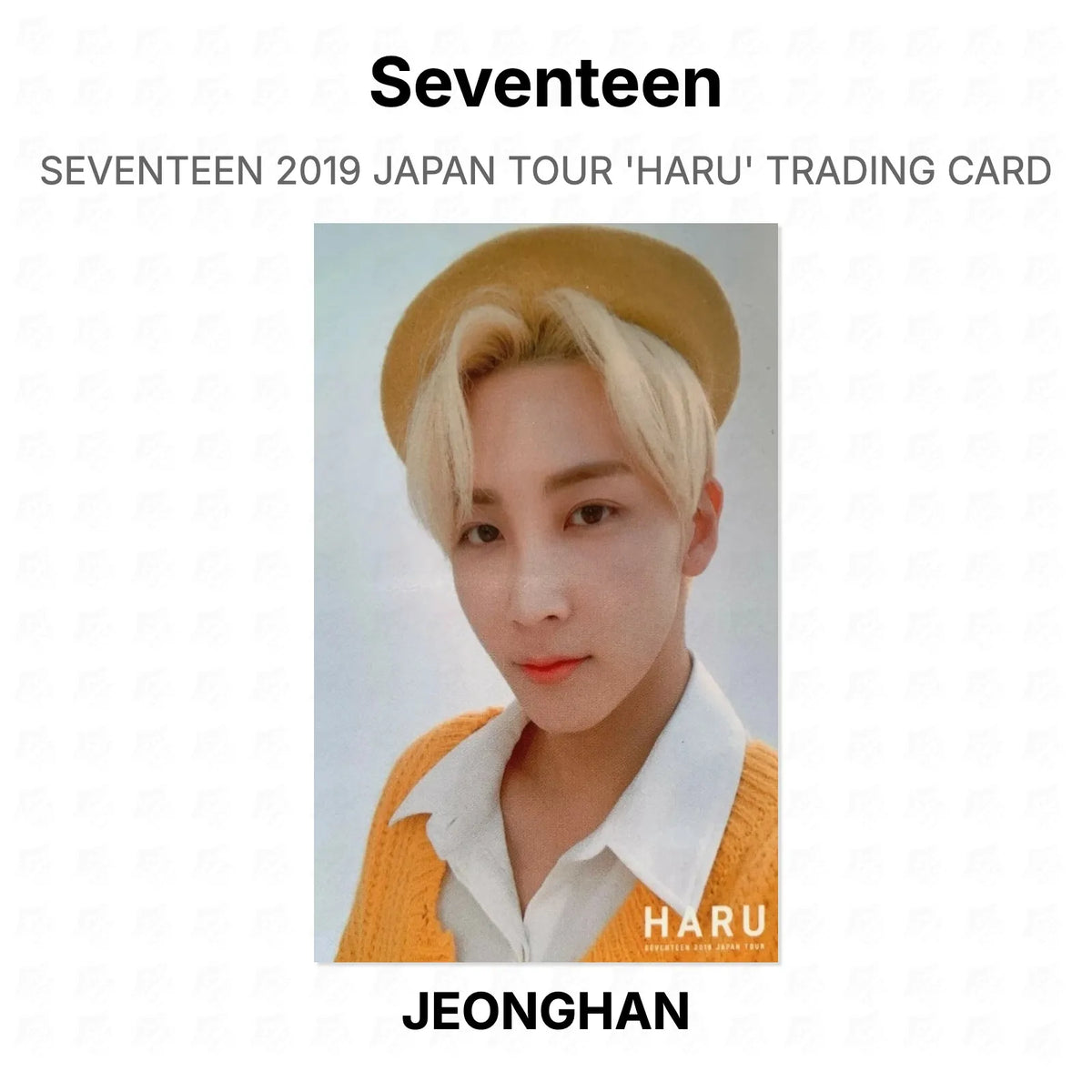 Seventeen 2019 JAPAN TOUR 'HARU' TRADING CARD Official Photocard