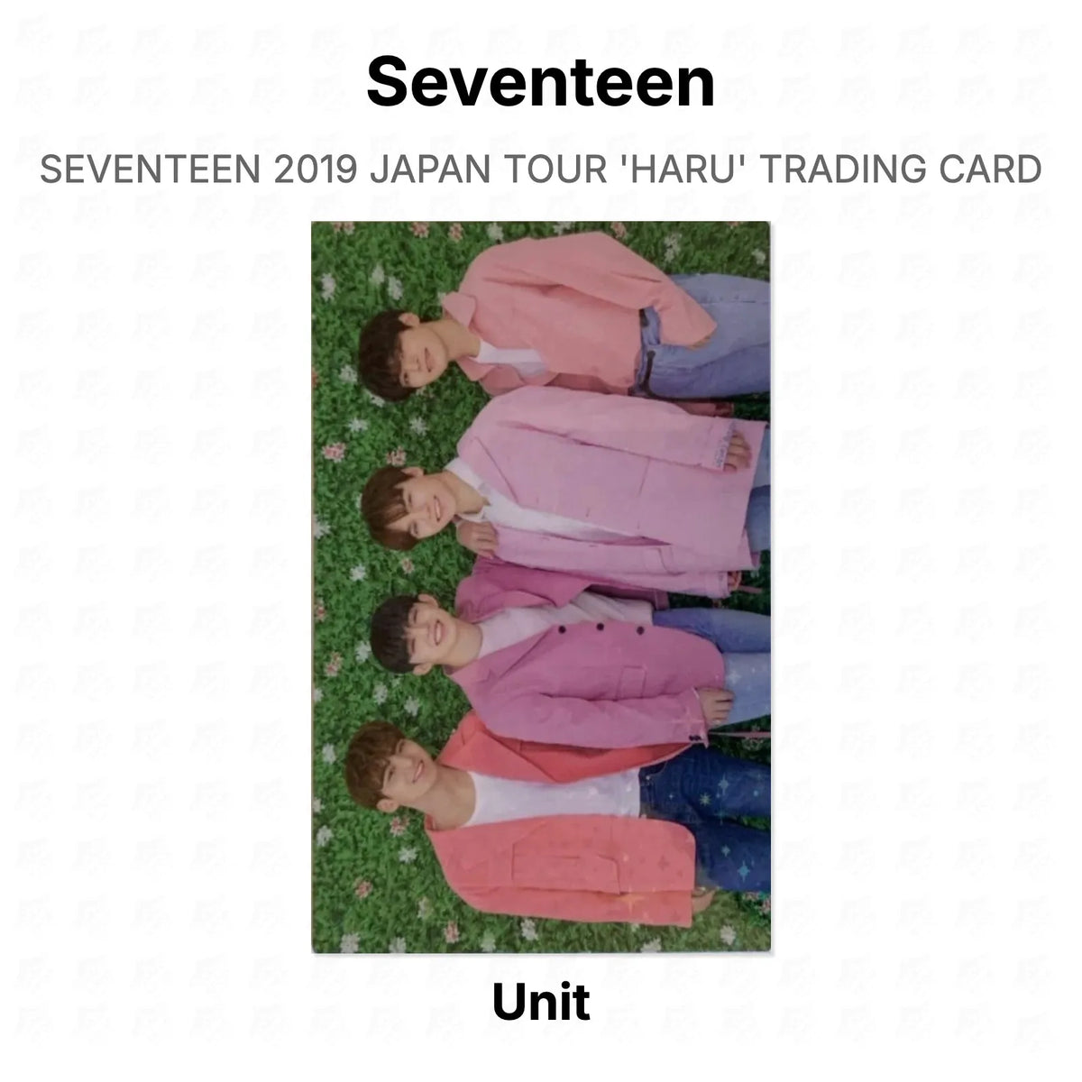 Seventeen 2019 JAPAN TOUR 'HARU' TRADING CARD Official Photocard