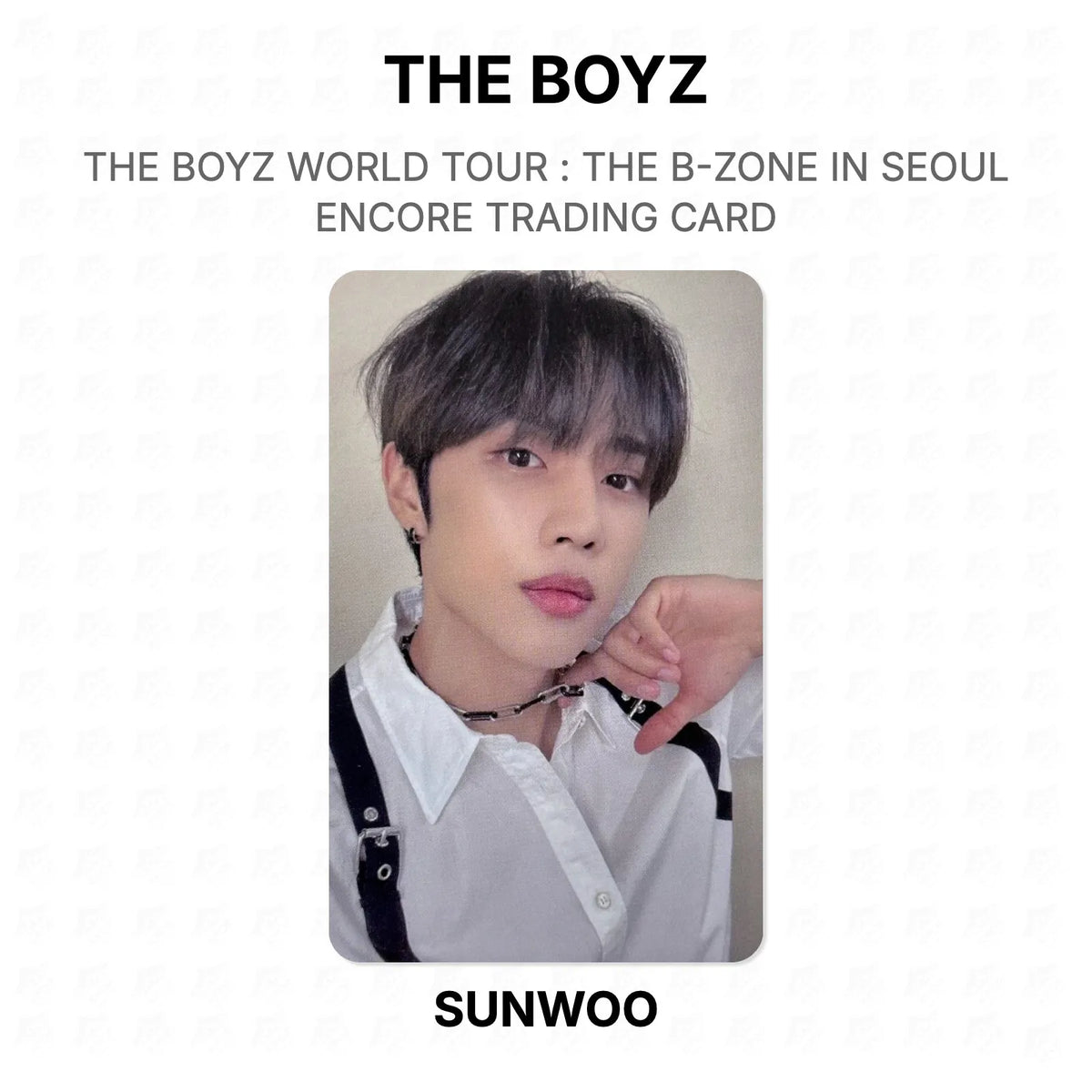 THE BOYZ WORLD TOUR : THE B-ZONE IN SEOUL ENCORE TRADING CARD Official Photocard