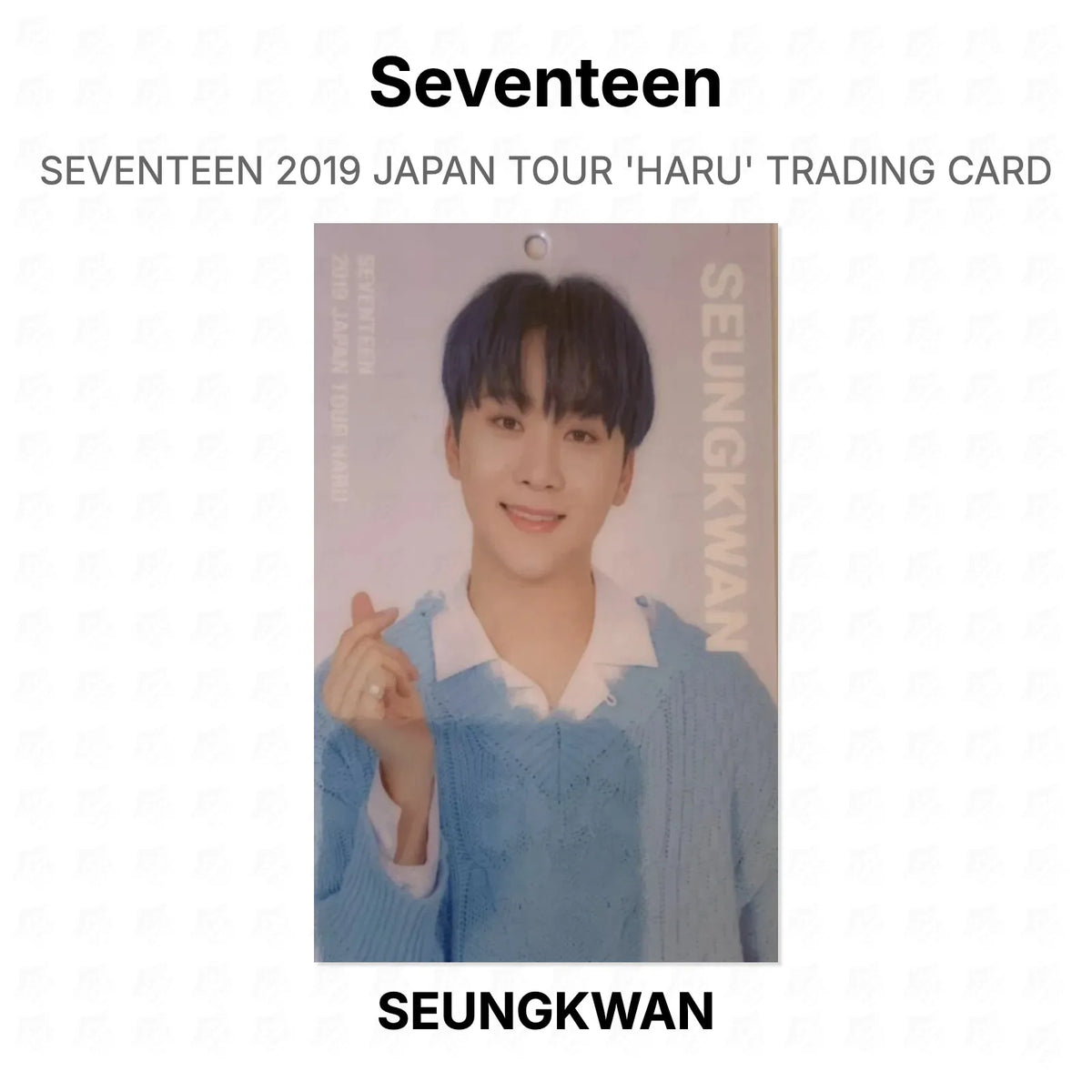 Seventeen 2019 JAPAN TOUR 'HARU' TRADING CARD Official Photocard