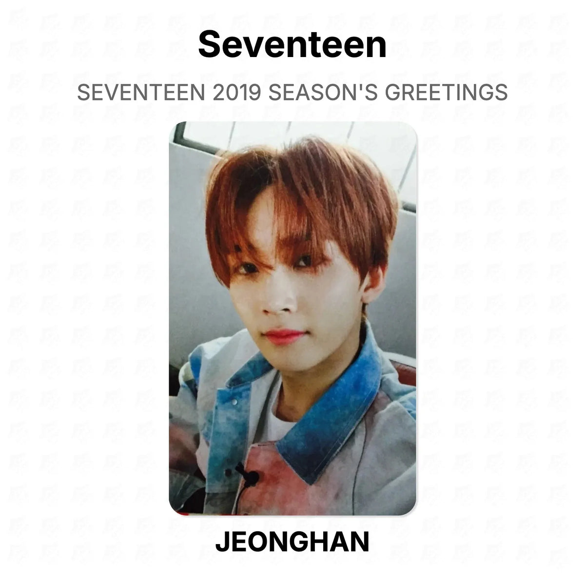 Seventeen 2019 SEASON'S GREETINGS Official Photocard