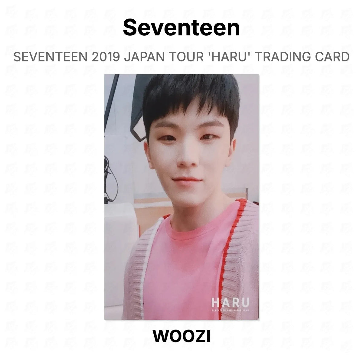 Seventeen 2019 JAPAN TOUR 'HARU' TRADING CARD Official Photocard