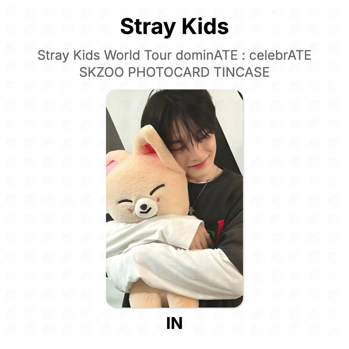 Stray Kids World Tour dominATE : celebrATE SKZOO PHOTOCARD TINCASE Official Photocard