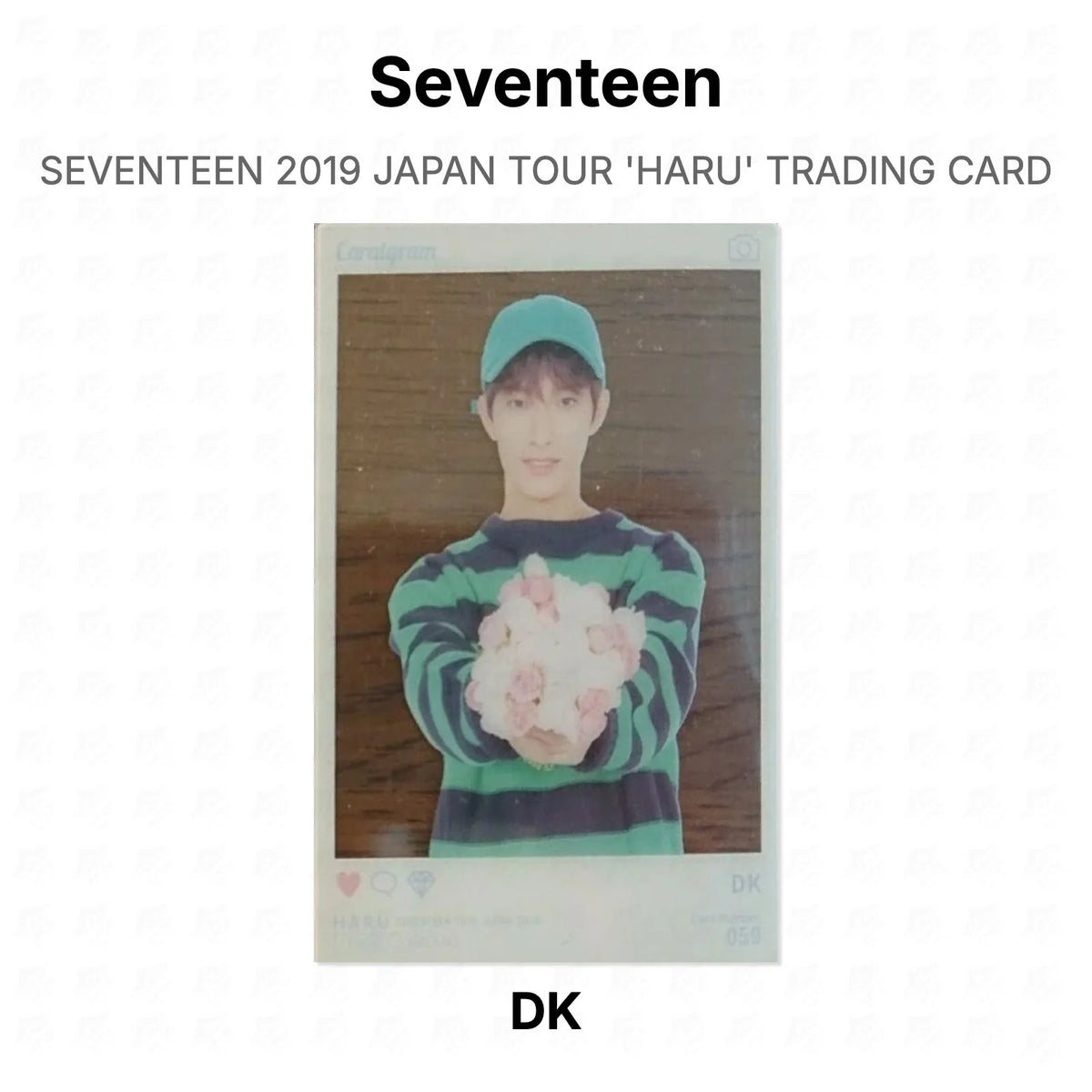 Seventeen 2019 JAPAN TOUR 'HARU' TRADING CARD Official Photocard
