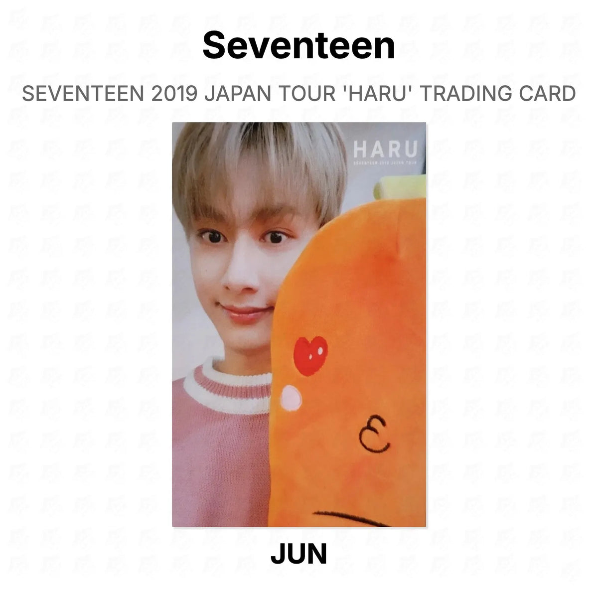 Seventeen 2019 JAPAN TOUR 'HARU' TRADING CARD Official Photocard