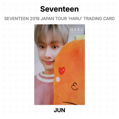Seventeen 2019 JAPAN TOUR 'HARU' TRADING CARD Official Photocard