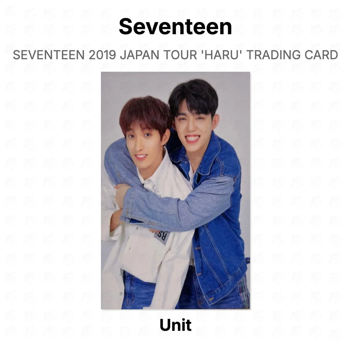 Seventeen 2019 JAPAN TOUR 'HARU' TRADING CARD Official Photocard