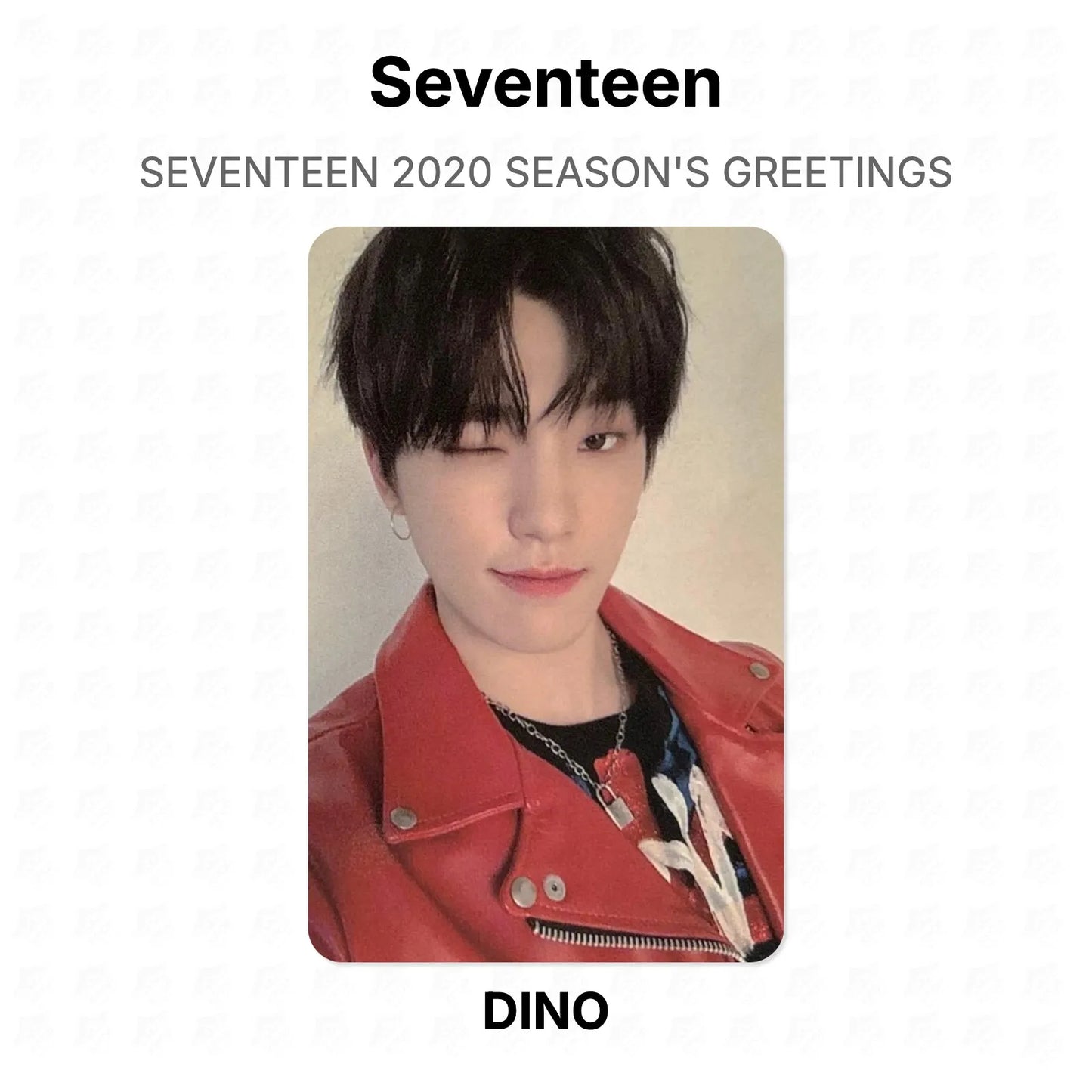 Seventeen 2020 SEASON'S GREETINGS Official Photocard