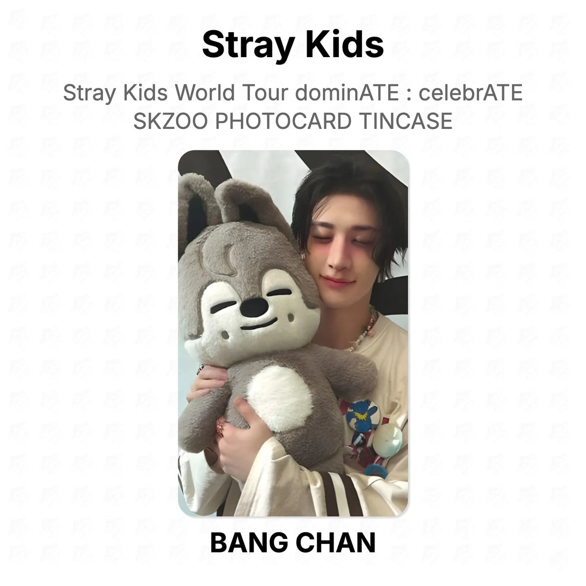 Stray Kids World Tour dominATE : celebrATE SKZOO PHOTOCARD TINCASE Official Photocard