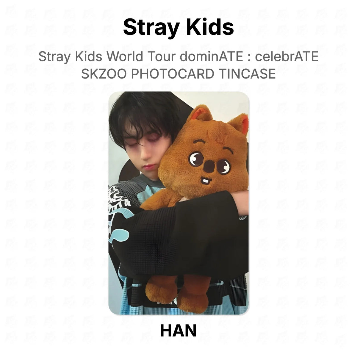 Stray Kids World Tour dominATE : celebrATE SKZOO PHOTOCARD TINCASE Official Photocard