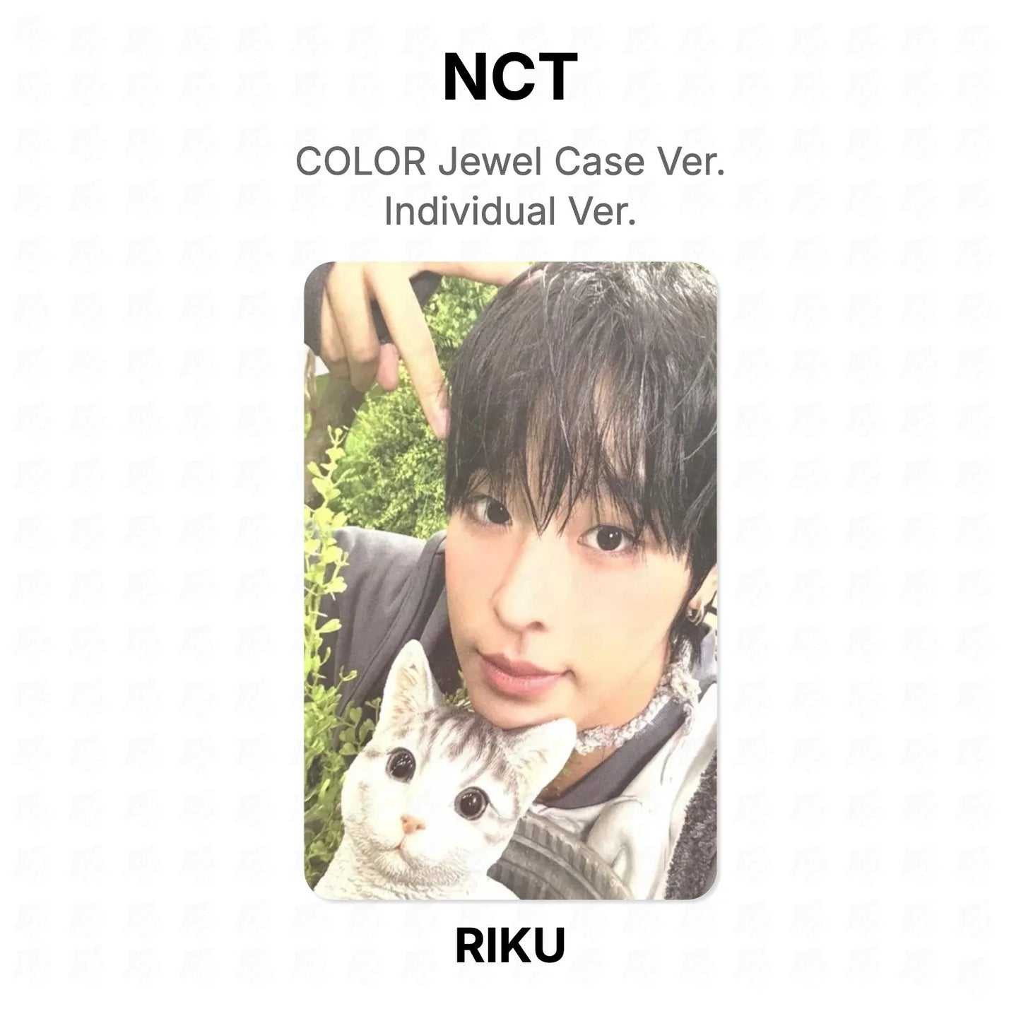 NCT COLOR Jewel Case Ver. Individual Ver. Official Photocard