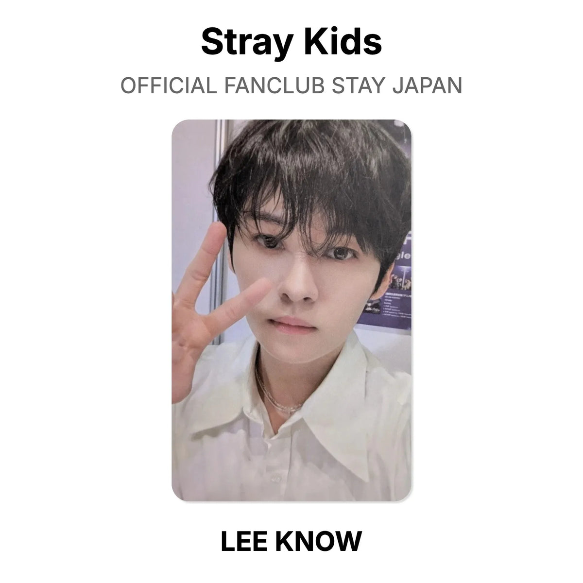 Stray Kids OFFICIAL FANCLUB STAY JAPAN Official Photocard