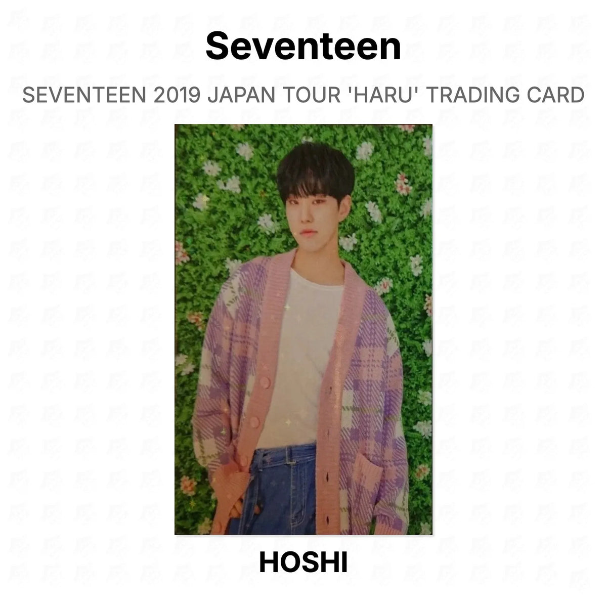 Seventeen 2019 JAPAN TOUR 'HARU' TRADING CARD Official Photocard